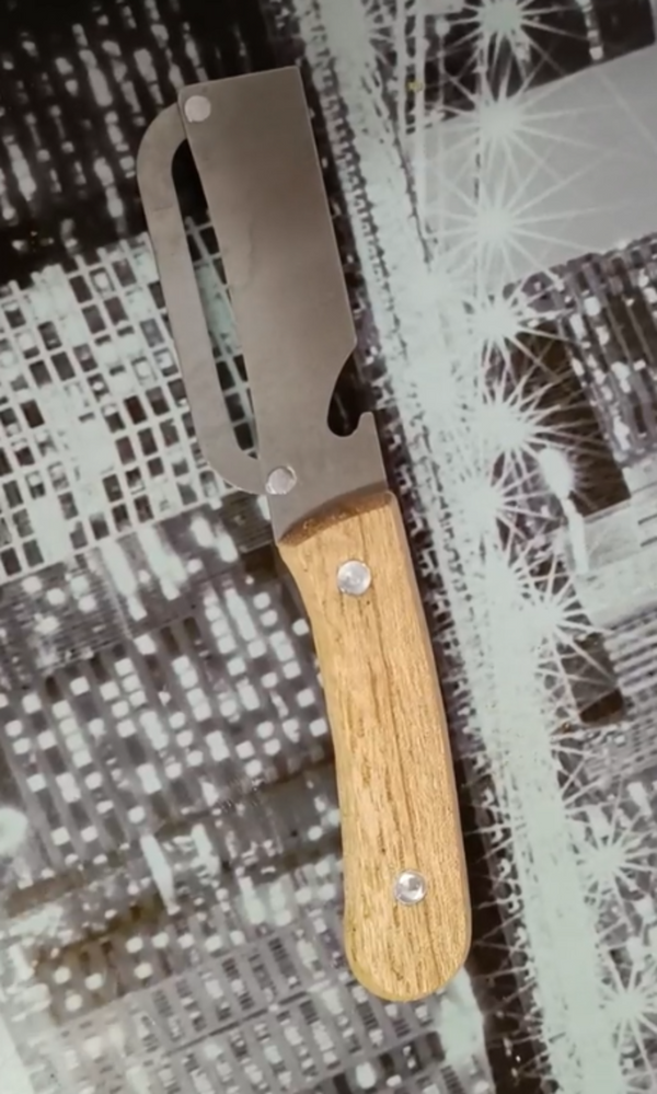 Michael Chen review image